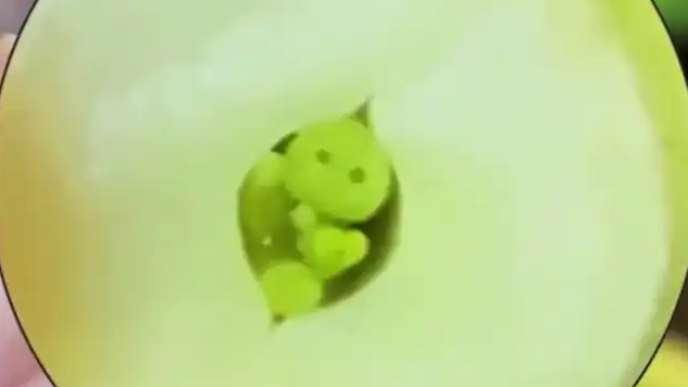 莲子切开后里面有个“小娃娃”