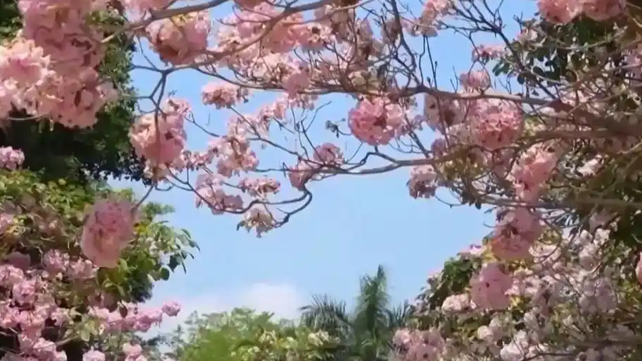 两广等地今年真的没有“回南天”吗