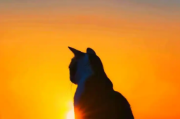 19日