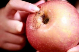   这3条食品安全谣言你可能也曾中招 缩略图