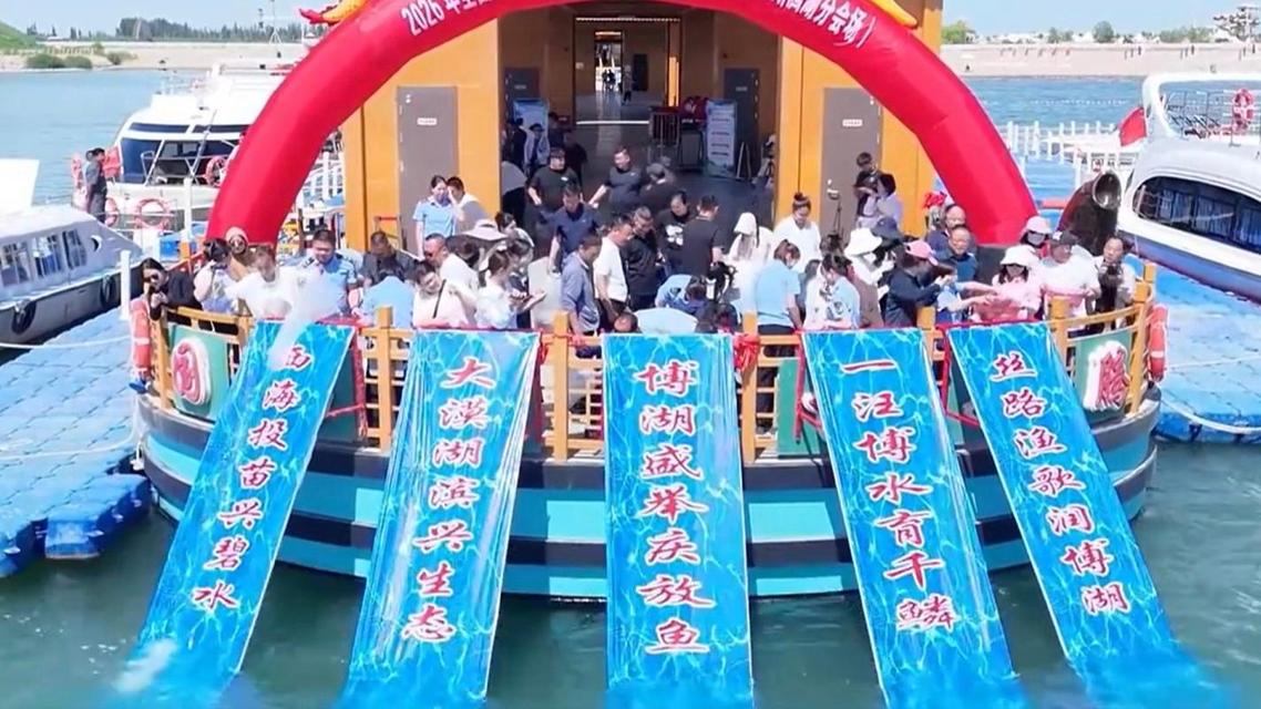  6万多尾“水中大熊猫”放流淡水湖
