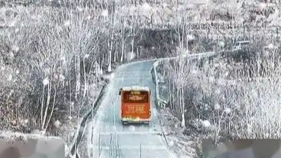  32岁女子怕被催婚 3年不敢回家过年