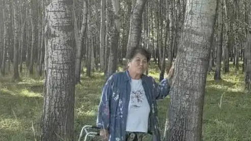 农户响应号召种树 成材后被禁止采伐