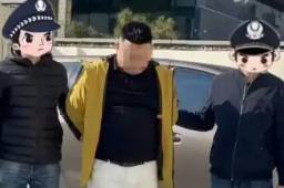   炒作新能源汽车负面信息团伙被打掉 缩略图