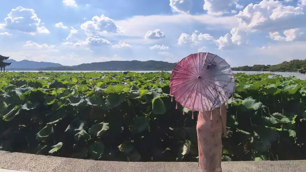 超强台风“白海豚”能带来降温吗