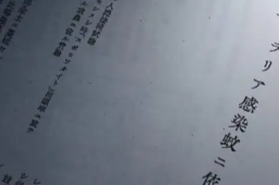 17日
