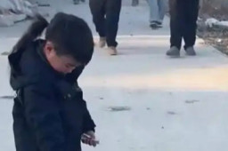   6岁女孩给5岁小叔拜年 小叔大方给钱 缩略图