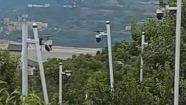  果园密密麻麻立满监控 当地回应