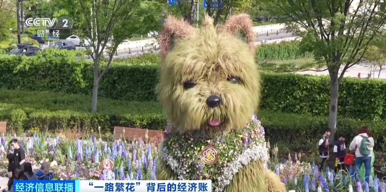 一只潦草小狗带火20亿元商圈