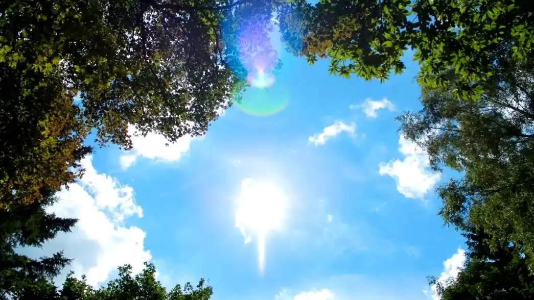  马年盛夏真要热哭吗