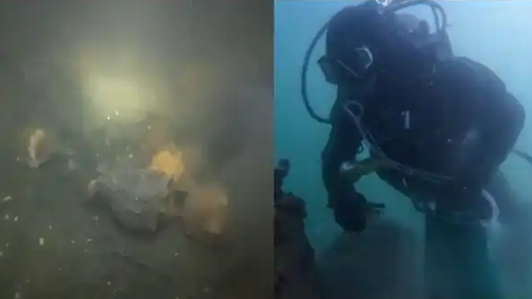 青岛海螺大爆发 潜水员3小时赚3500