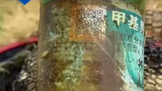 闻了上吐下泻 剧毒农药被用来种蒜薹