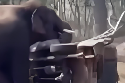   泰国一公象“相亲”时发怒掀翻两车 缩略图