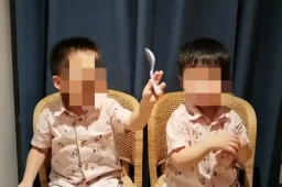 女子生下龙凤胎 起诉已婚董事长