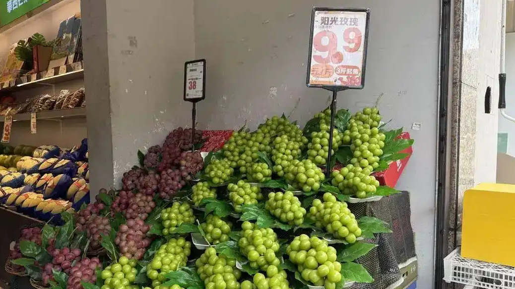法国南部遭遇大规模森林火灾