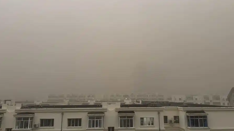  亲历者讲述哈尔滨沙尘暴事发瞬间