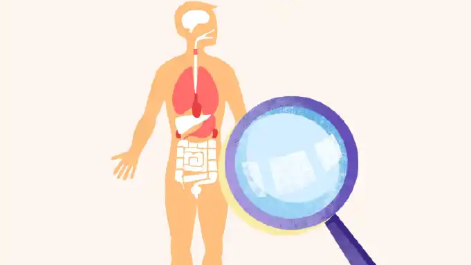 上班后变胖？医生：大脑认为你受虐待