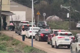   大年初二回娘家 山路上都排队了 缩略图