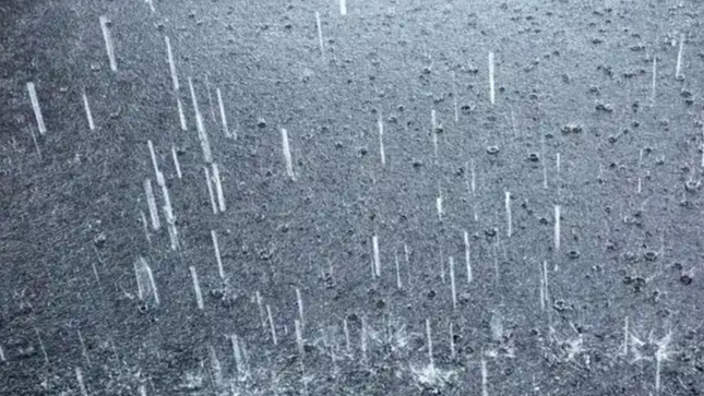  中央气象台发布暴雨台风预警
