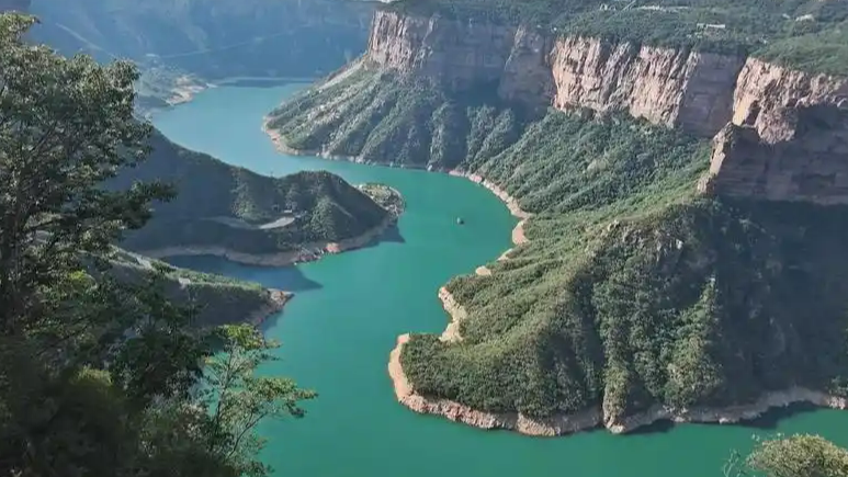  南太行观景台“山顶独苗”小松树消失