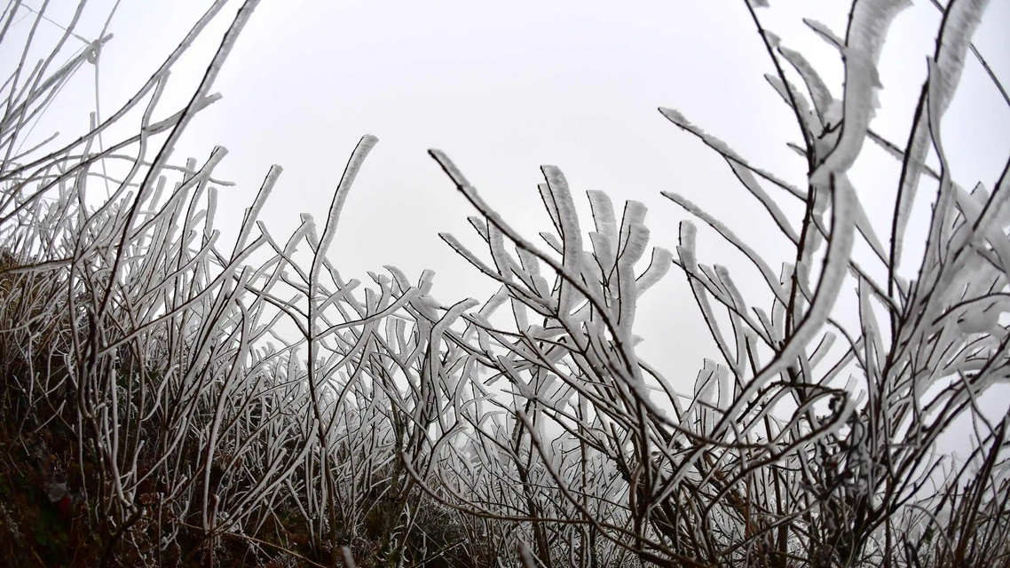 冷冷冷！多地将迎“跳水式”降温