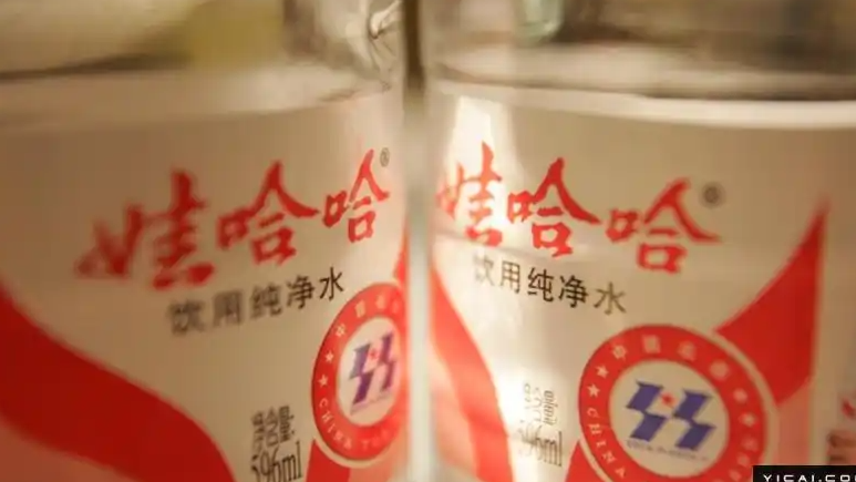 两岁半小狗棍法“出神入化”