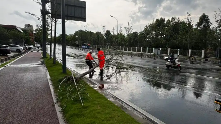  沈阳将在全市实行紧急避险措施