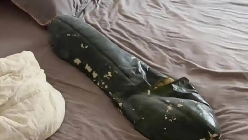 第一批抱冬瓜睡觉受害者已出现