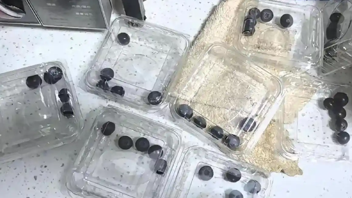直播间买10盒蓝莓 到手每盒不足5颗