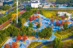   中国人均拥有约100棵树 缩略图