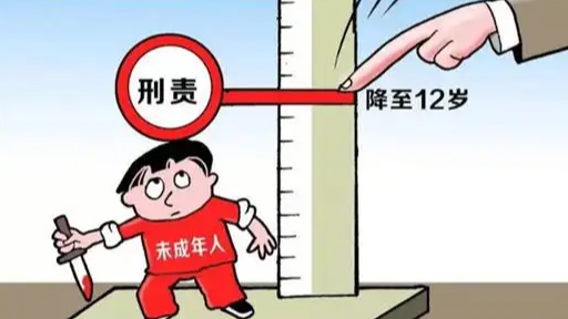  12周岁未成年人故意杀人 检方追诉