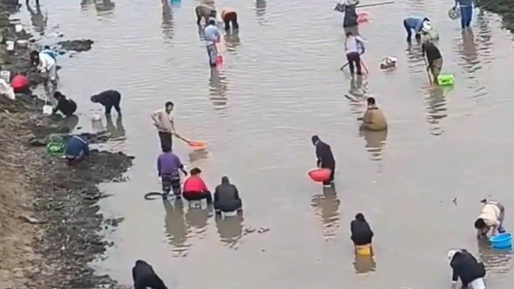  河南一地众人下河摸金？当地回应