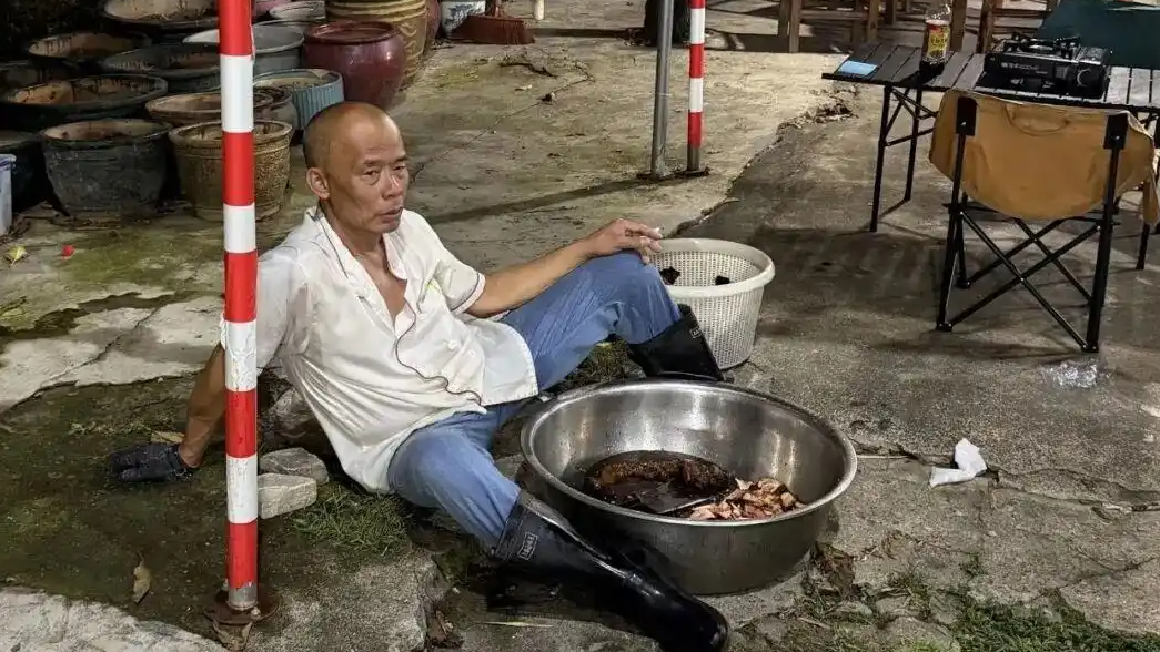 莫氏鸡煲爆火 鸡没断货酒先没了