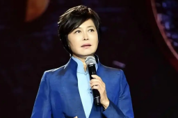 再见敬一丹 再见敬大姐