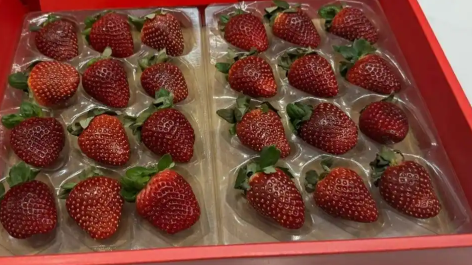 300元1斤的黑草莓到底贵在哪