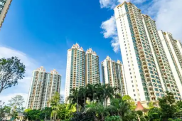 住房金融新政后 购房者会增多吗