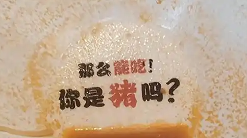 游客吃面发现碗底印着“你是猪吗”