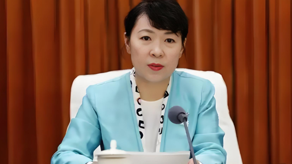 杭州高架一新能源车起火