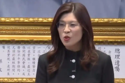   郑丽文返台身穿中山装动情发声 缩略图