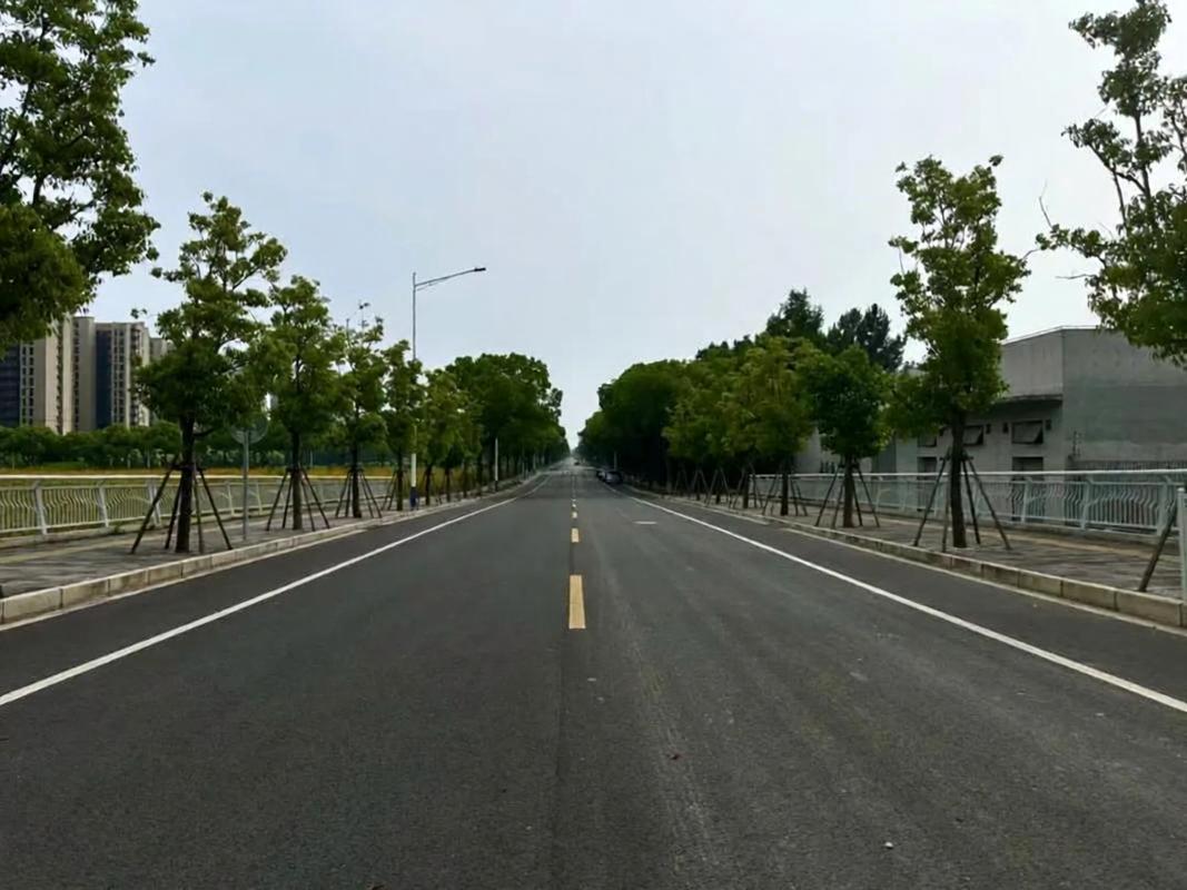 人民日报：公共道路谁也没有任性特权