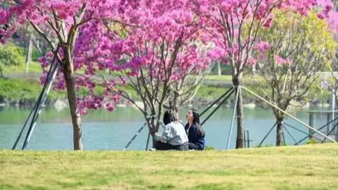 又到“乱穿衣”的季节了