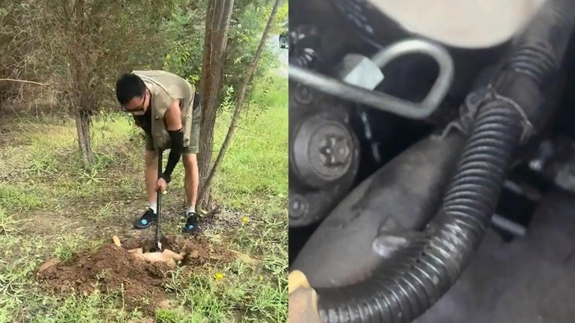 常州0-5不敌盐城 遭遇苏超最惨一败