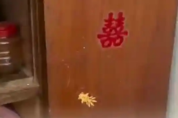   女子回奶奶家过年发现儿时剪纸金鱼 缩略图