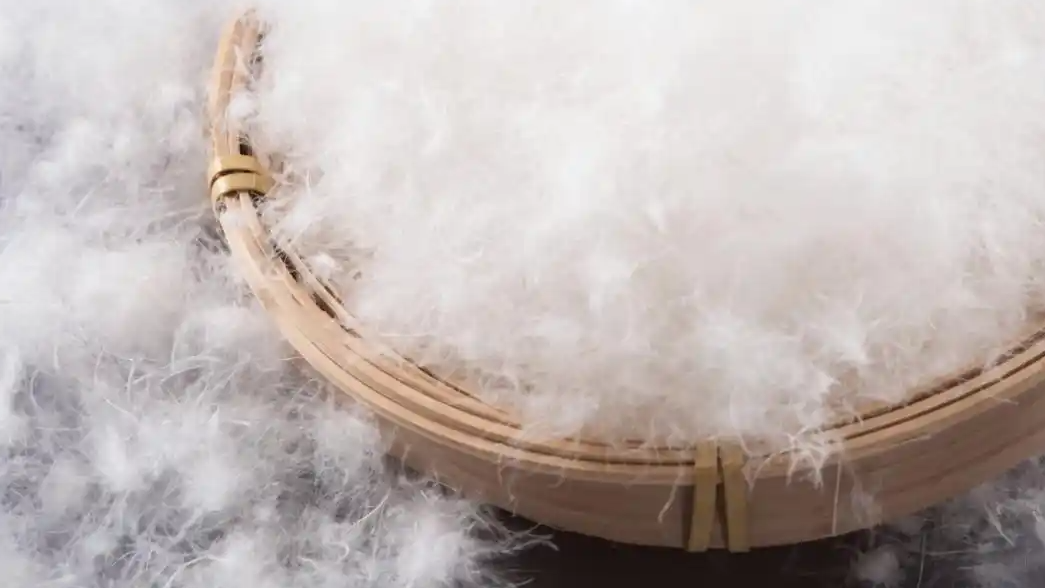 买了没几年的羽绒服怎么就不保暖了