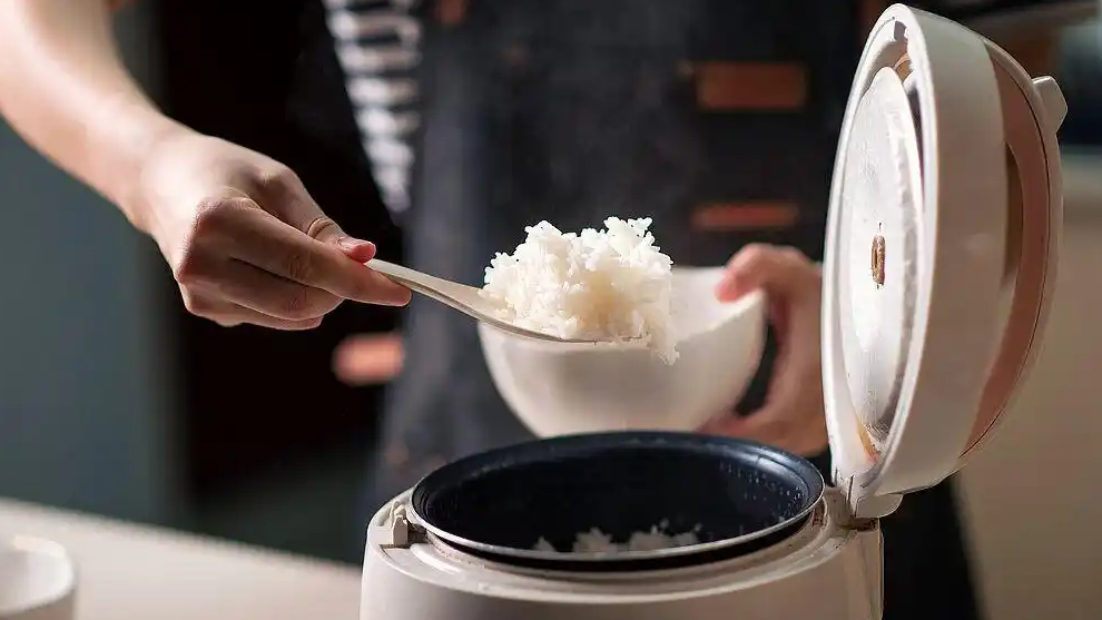 细菌超标！电饭煲“保温”不要超4小时