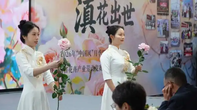 娇龙月季名字定了