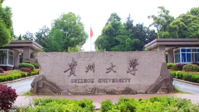 高校招聘要求配偶为本校在职博士