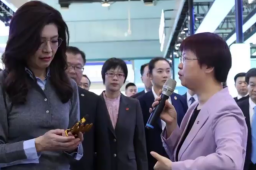   郑丽文爱不释手的“灵巧手”啥来头 缩略图