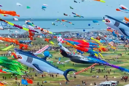   在潍坊万物皆可飞上天 缩略图