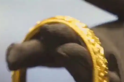 22日